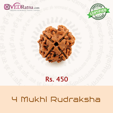 4 mukhi rudraksha